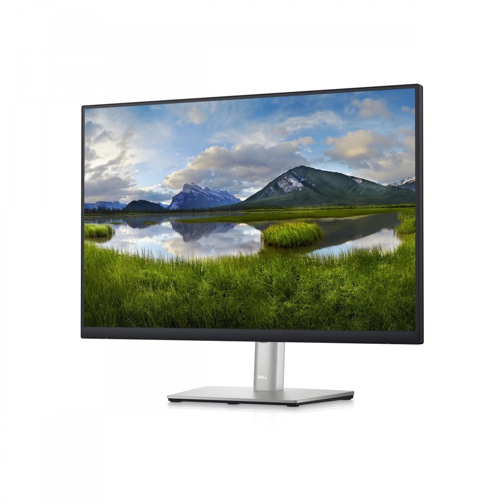 Dell P2423 24" Full HD Monitor | IPS | HDMI | DisplayPort | USB Hub | Ergonomic Stand