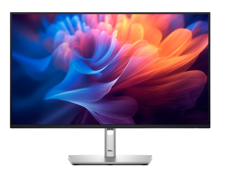 Dell P2423 24" Full HD Monitor | IPS | HDMI | DisplayPort | USB Hub | Ergonomic Stand